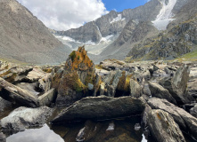 Киргизия, В стране эдельвейсов: пеший поход по Центральному Тянь-Шаню (Терскей-Алатау)