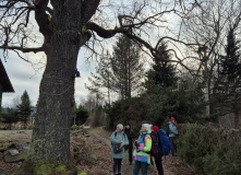 Северо-Запад, Изборско-Мальская долина (разведка)