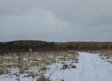 Подмосковье, Озеро Святое и Ильинские рубежи (разведка)