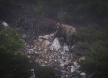 Байкал, Берег бурого медведя: на байдарках по Западному побережью Байкала