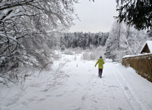 Подмосковье, Однодневный поход «English club в усадьбе Середниково»