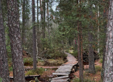 Подмосковье, English Club: Карьеры, реки и мосты