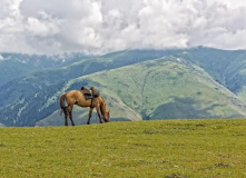 Киргизия, Оздоровительный релакс-тур Иссык-Куль