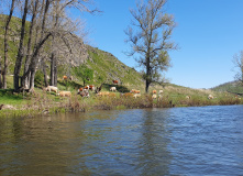 Урал, Байдарки на Урале : майский сплав по реке Сакмара