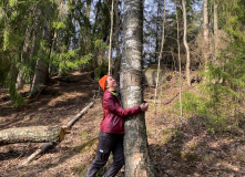 Северо-Запад, Однодневный поход вдоль Кавголовского озера с посещением органного концерта в Токсово