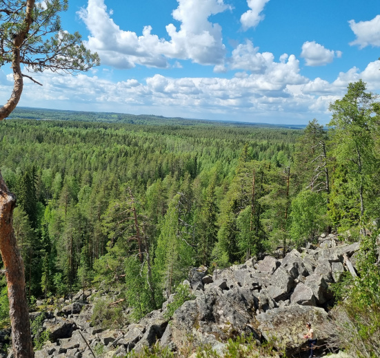 Карелия, Рысья гора (ночёвка в доме с баней)