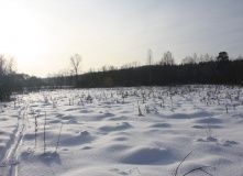 Подмосковье, Пеший поход - Зосимова Пустынь