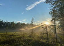 Карелия, Молодёжный сплав по реке Писта (Пистайоки) на катамаранах