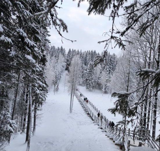 Русский Север, Архангельск. Знакомство с Русским Севером