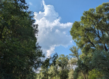 Подмосковье, Однодневный сплав по реке Дубна с прогулкой и обедом на Ферме