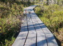 Кольский, Русская Лапландия: Тропа викинга и Лапландский заповедник (разведка)