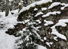 Северо-Запад, Таинственный Выборг: путешествие к гротам.