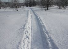 Подмосковье, Пеший поход - Зосимова Пустынь