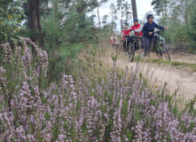 Беларусь, На перепутье затерянных дорог: велопоход по Беларуси