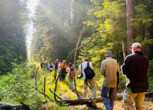 Селигер, Экопоход «Чистый лес» на Селигере