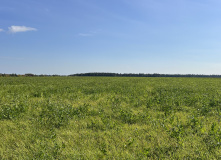 Подмосковье, К НЛО через Голубое озеро