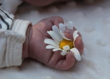 Северо-Запад, Мамино Лето: наедине с природой и малышом