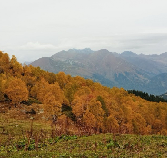 День 3