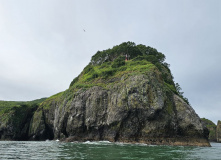 Камчатка, Камчатский вояж Лайт: шум океана и шёпот вулканов (комфорт-тур)