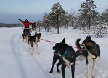 Карелия, Снежное сафари: мультитур в Карелии