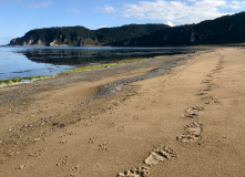 Дальний Восток, Здравствуйте, я ваша Тятя: поход по острову Кунашир + Сахалин