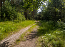 Подмосковье, Шёпот мещёрских лесов да гладь озёр