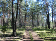 Беларусь, Велопоход Полоцк - Себеж