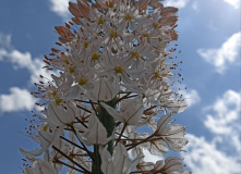 Узбекистан, Лето, весна, зима и снова лето: пеший поход по весенним горам Западного Тянь-Шаня