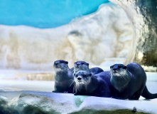 Китай, Живописная палитра Китая: из глубинки провинции к золотым пляжам (разведка)