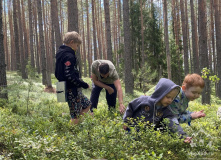 Подмосковье, Семейный лагерь на Плещеевом озере. В гости к серой цапле