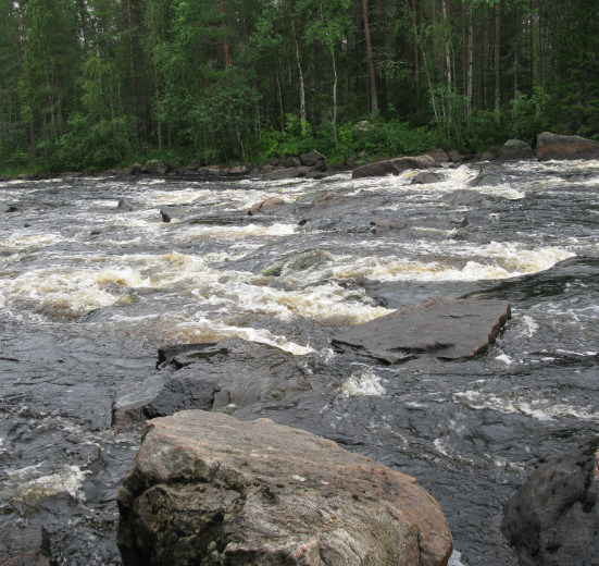 Сплав по реке Воньга и Белое Море на байдарках