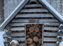 Карелия, По следам на снегу: Северная Карелия на снегоходах и лыжах с детьми