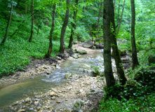 Кавказ, Кавказ с детьми. Тайны Адыгеи (с палатками)