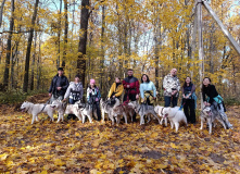 Подмосковье, Однодневный поход-трекинг с хаски