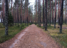 Карельский перешеек, В поисках исчезнувшей Леовиллы с детьми