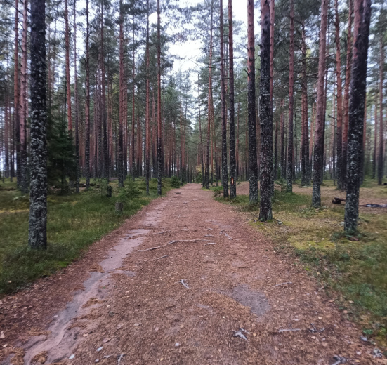Карельский перешеек, В поисках исчезнувшей Леовиллы с детьми