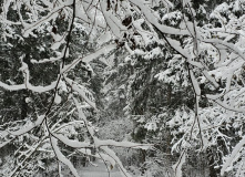 Подмосковье, Кругами к Зосимовой пустыни (с элементами разведки)