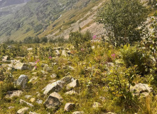 Кавказ, Гвандра. Горные треккинги для взрослых и детей (в палатках)