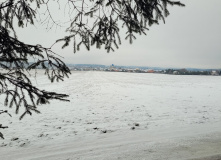 Подмосковье, Поход к карьеру Сима и хвойным лесам