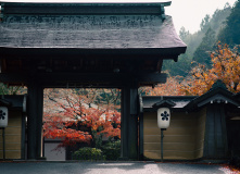 Япония, К пальмам и горячим пескам (разведка)