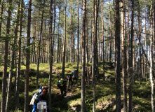 Финляндия, Пеший Поход по национальному парку Коли