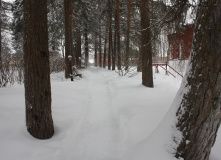 Подмосковье, Пеший поход - Зосимова Пустынь