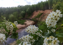 Северо-Запад, Русская деревня. На байдарках по реке Мста в Новгородской области