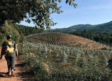 Испания, Пешком из Португалии в Испанию: Камино де Сантьяго