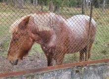 Беларусь, Страна замков: Беларусь на неделю