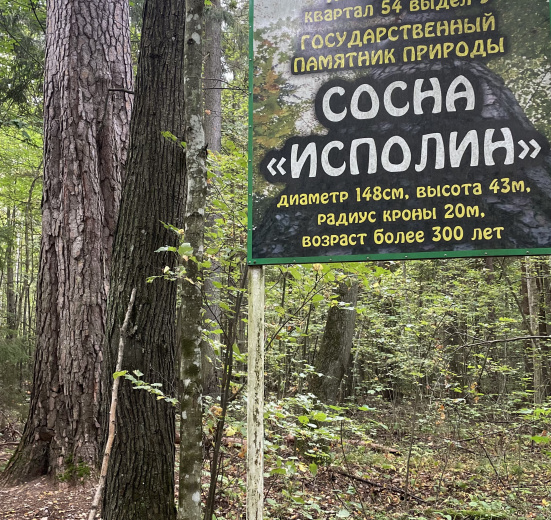 Пеший поход «Край покинутых деревень»