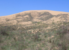 Дагестан, Дагестан глазами натуралиста