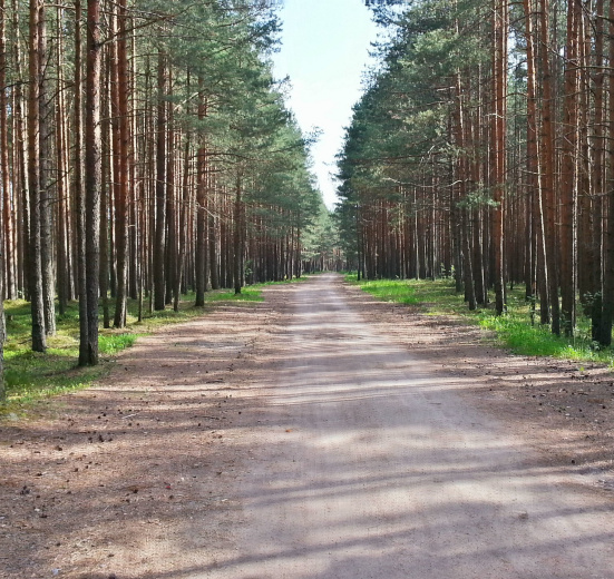 Детский велопоход в Лукоморье