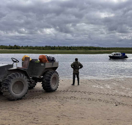 Летний берег Белого моря: Онежское Поморье