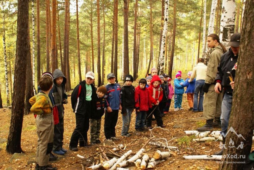 Походы детей в лес. Поход школьников. Поход в лес с детьми. Туристические походы школьников. Школьный поход в лес.